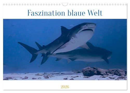 Faszination blaue Welt (Wandkalender 2026 DIN A3 quer), CALVENDO Monatskalender: Tauche ein in eine geheimnisvolle Welt mit schillernden Farben und skurrilen Formen (CALVENDO Tiere) von CALVENDO