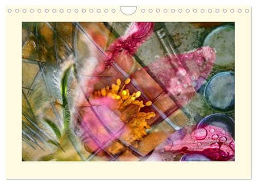 Fotografie trifft Malerei (Wandkalender 2026 DIN A4 quer), CALVENDO Monatskalender: Fotografien von Pflanzen, kleine Kunstwerke, die die Natur ... gestaltet zu Unikaten. (CALVENDO Kunst) von CALVENDO