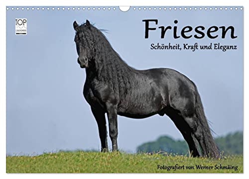 Friesen - Schönheit, Kraft und Eleganz (Wandkalender 2026 DIN A3 quer), CALVENDO Monatskalender: Friesenpferde - die edle Pferderasse (CALVENDO Tiere) von CALVENDO