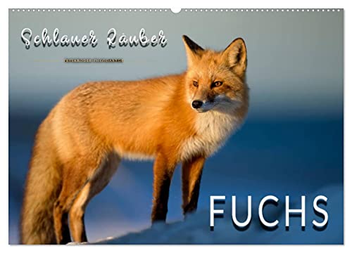 Fuchs - schlauer Räuber (Wandkalender 2026 DIN A2 quer), CALVENDO Monatskalender: Eindrucksvolle Bilder der scheuen Tiere. (CALVENDO Tiere) von CALVENDO