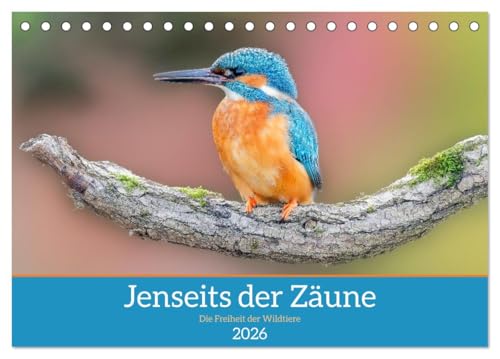 Jenseits der Zäune (Tischkalender 2026 DIN A5 quer), CALVENDO Monatskalender: "Jenseits der Zäune" zeigt in stimmungsvollen Tierfotografien die ... nur selten zu sehen bekommt. (CALVENDO Tiere) von CALVENDO