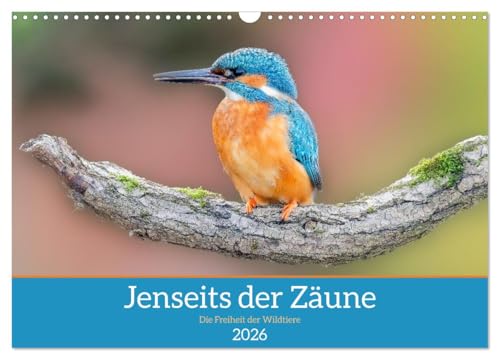 Jenseits der Zäune (Wandkalender 2026 DIN A3 quer), CALVENDO Monatskalender: "Jenseits der Zäune" zeigt in stimmungsvollen Tierfotografien die ... nur selten zu sehen bekommt. (CALVENDO Tiere) von CALVENDO