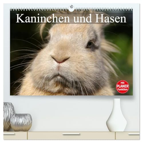 Kaninchen und Hasen (hochwertiger Premium Wandkalender 2026 DIN A2 quer), Kunstdruck in Hochglanz: Niedliche Gesellen im flauschigen Fell (CALVENDO Tiere) von CALVENDO