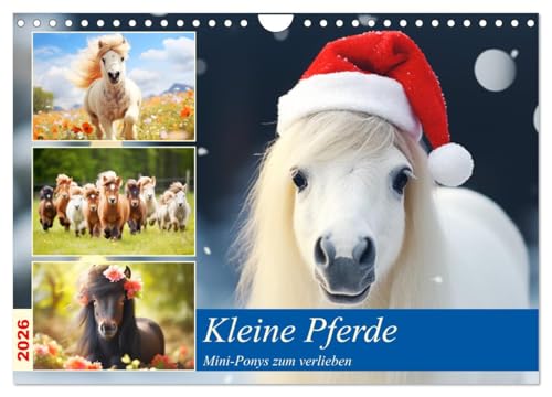 Kleine Pferde. Mini-Ponys zum verlieben (Wandkalender 2026 DIN A4 quer), CALVENDO Monatskalender: Zauberhafte Wintzlinge erobern die Herzen! (CALVENDO Tiere) von CALVENDO