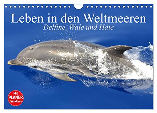 Leben in den Weltmeeren. Delfine, Wale und Haie (Wandkalender 2026 DIN A4 quer), CALVENDO Monatskalender: Gleiten und Leben in den Ozeanen der Welt (CALVENDO Tiere) von CALVENDO