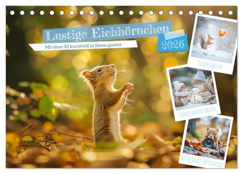 Lustige Eichhörnchen (Tischkalender 2026 DIN A5 quer), CALVENDO Monatskalender: Mit ihren flinken Bewegungen, ihrem plüschigen Fell und ihren ... im gesamten Waldreich. (CALVENDO Tiere) von CALVENDO