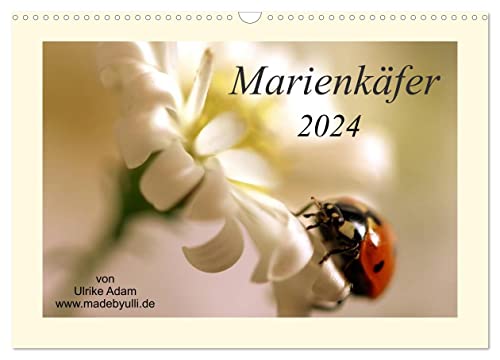 Marienkäfer / 2024 (Wandkalender 2024 DIN A3 quer), CALVENDO Monatskalender: Der Kalender zeigt bunte Makroaufnahmen des Marienkäfers (CALVENDO Tiere) von CALVENDO
