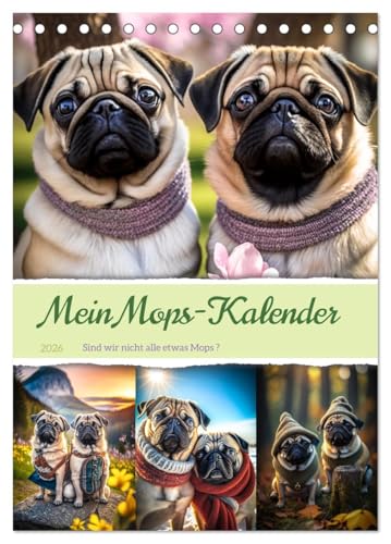 Mein Mops-Kalender (Tischkalender 2026 DIN A5 hoch), CALVENDO Monatskalender: Der Mops ist eine kleine bis mittlere Hunderasse mit einem runden Kopf, ... Fell und kurzer Nase. (CALVENDO Tiere) von CALVENDO