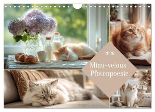 Miau-velous Pfotenpoesie (Wandkalender 2026 DIN A4 quer), CALVENDO Monatskalender: Künstlerisch gestaltete Katzenbilder, KI-generiert, die die ... in besonderen Szenen zeigen. (CALVENDO Tiere) von CALVENDO