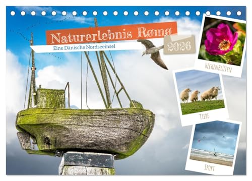 Naturerlebnis Rømø (Tischkalender 2026 DIN A5 quer), CALVENDO Monatskalender: Tauche ein in die malerische Landschaft der Dänischen Nordseeinsel und ... Natur verzaubern. (CALVENDO Orte) von CALVENDO