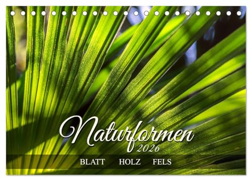 Naturformen, Blatt, Holz, Fels (Tischkalender 2026 DIN A5 quer), CALVENDO Monatskalender: Die Formensprache der Natur (CALVENDO Natur) von CALVENDO
