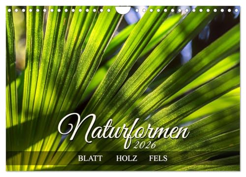 Naturformen, Blatt, Holz, Fels (Wandkalender 2026 DIN A4 quer), CALVENDO Monatskalender: Die Formensprache der Natur (CALVENDO Natur) von CALVENDO