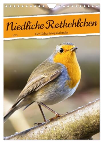 Niedliche Rotkehlchen (Wandkalender 2025 DIN A4 hoch), CALVENDO Monatskalender: Gern gesehene Gäste in unseren Gärten (CALVENDO Tiere) von CALVENDO