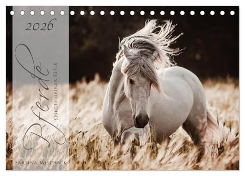 Pferde - Spiegel deiner Seele (Tischkalender 2026 DIN A5 quer), CALVENDO Monatskalender: Lassen Sie sich entführen in die Faszinierende Welt der Pferde (CALVENDO Tiere) von CALVENDO