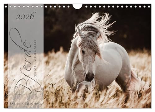 Pferde - Spiegel deiner Seele (Wandkalender 2026 DIN A4 quer), CALVENDO Monatskalender: Lassen Sie sich entführen in die Faszinierende Welt der Pferde (CALVENDO Tiere) von CALVENDO