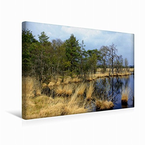 Premium Textil-Leinwand 45 x 30 cm Quer-Format Hochmoor in der Lüneburger Heide | Wandbild, HD-Bild auf Keilrahmen, Fertigbild auf hochwertigem Vlies, Leinwanddruck von Bildarchiv Reupert von CALVENDO