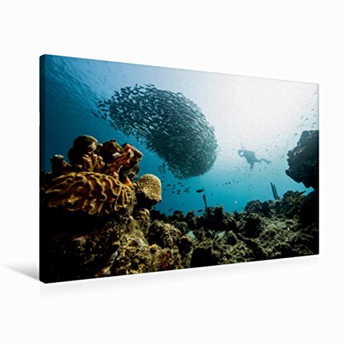 Premium Textil-Leinwand 90 x 60 cm Quer-Format Die Sichel Curaçao | Wandbild, HD-Bild auf Keilrahmen, Fertigbild auf hochwertigem Vlies, Leinwanddruck von naturepics - Yvonne & Tilo Kühnast von CALVENDO