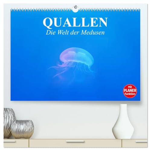 Quallen. Die Welt der Medusen (hochwertiger Premium Wandkalender 2026 DIN A2 quer), Kunstdruck in Hochglanz: Die erstaunlich schönen Lebensformen der Medusen (CALVENDO Tiere) von CALVENDO