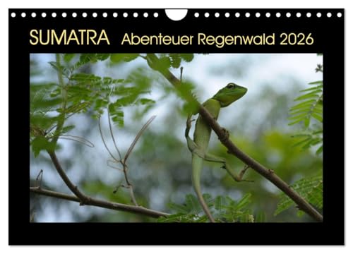 SUMATRA Abenteuer Regenwald (Wandkalender 2026 DIN A4 quer), CALVENDO Monatskalender: Sumatras Regenwälder in ihrer Schönheit und Vielfalt (CALVENDO Natur) von CALVENDO