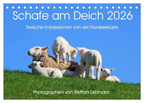 Schafe am Deich 2026. Tierische Impressionen von der Nordseeküste (Tischkalender 2026 DIN A5 quer), CALVENDO Monatskalender: Weiße und schwarze, ... Schafe am Nordseedeich. (CALVENDO Tiere) von CALVENDO