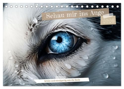 Schau mir ins Auge (Tischkalender 2026 DIN A5 quer), CALVENDO Monatskalender: Augen sind Fenster in eine neue Welt (CALVENDO Tiere) von CALVENDO