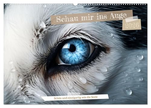Schau mir ins Auge (Wandkalender 2026 DIN A2 quer), CALVENDO Monatskalender: Augen sind Fenster in eine neue Welt (CALVENDO Tiere) von CALVENDO