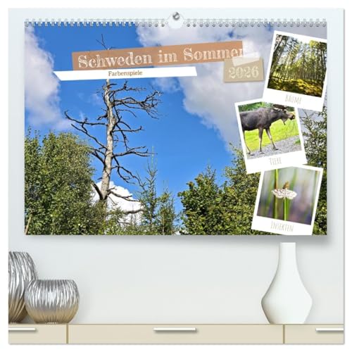 Schweden im Sommer (hochwertiger Premium Wandkalender 2026 DIN A2 quer), Kunstdruck in Hochglanz: Licht, Natur und Freiheit (CALVENDO Orte) von CALVENDO