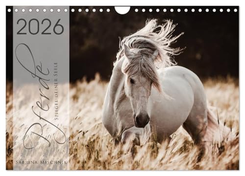 Spiegel deiner Seele (Wandkalender 2026 DIN A4 quer), CALVENDO Monatskalender: Lassen Sie sich entführen in die Faszinierende Welt der Pferde (CALVENDO Tiere) von CALVENDO