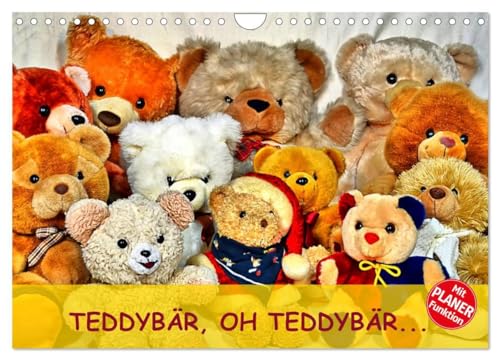 TEDDYBÄR, OH TEDDYBÄR... (Wandkalender 2024 DIN A4 quer), CALVENDO Monatskalender: Ein wunderschönes Geschenk für kleine und große Teddyliebhaber. (CALVENDO Hobbys) von CALVENDO
