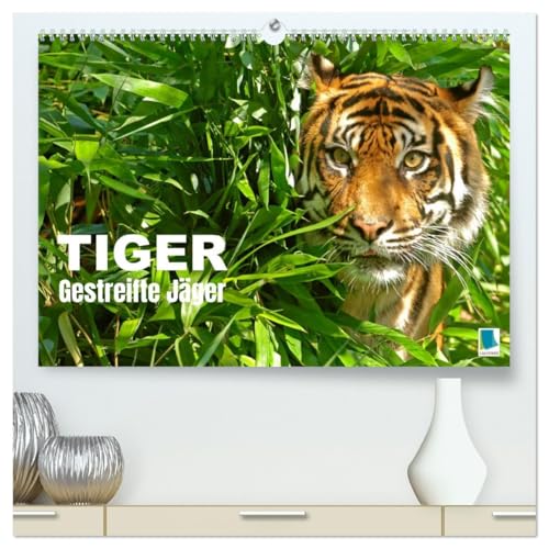 Tiger: Gestreifte Jäger (hochwertiger Premium Wandkalender 2026 DIN A2 quer), Kunstdruck in Hochglanz: Tiger: die größte Katzenart der Erde lebt in Asien (CALVENDO Tiere) von CALVENDO