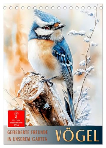 Vögel - gefiederte Freunde in unserem Garten (Tischkalender 2026 DIN A5 hoch), CALVENDO Monatskalender: Vögel im Blick: Natur trifft Aquarell. (CALVENDO Tiere) von CALVENDO