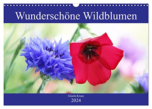 Wunderschöne Wildblumen (Wandkalender 2024 DIN A3 quer), CALVENDO Monatskalender: Blühendes für einen natürlichen Garten, als Nahrungsquelle für Bienen und Co. (CALVENDO Natur) von CALVENDO