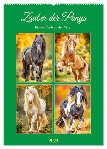 Zauber der Ponys. Kleine Pferde in der Natur (Wandkalender 2026 DIN A2 hoch), CALVENDO Monatskalender: Die liebenswerte Welt der Ponys in malerischen Landschaften (CALVENDO Tiere) von CALVENDO