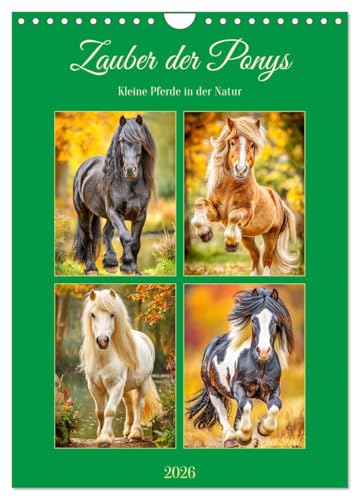 Zauber der Ponys. Kleine Pferde in der Natur (Wandkalender 2026 DIN A4 hoch), CALVENDO Monatskalender: Die liebenswerte Welt der Ponys in malerischen Landschaften (CALVENDO Tiere) von CALVENDO