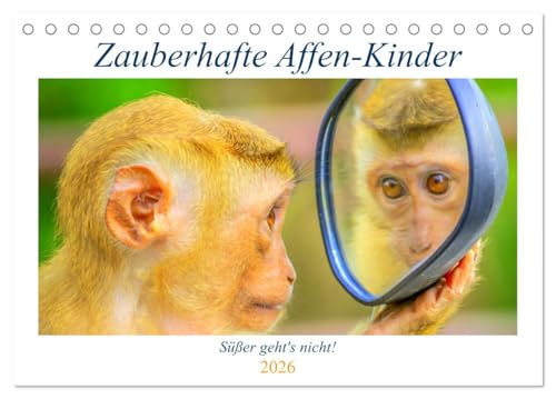 Zauberhafte Affenkinder. Süßer geht´s nicht! (Tischkalender 2026 DIN A5 quer), CALVENDO Monatskalender: Niedliche kleine Wichtel zum Verlieben! (CALVENDO Tiere) von CALVENDO