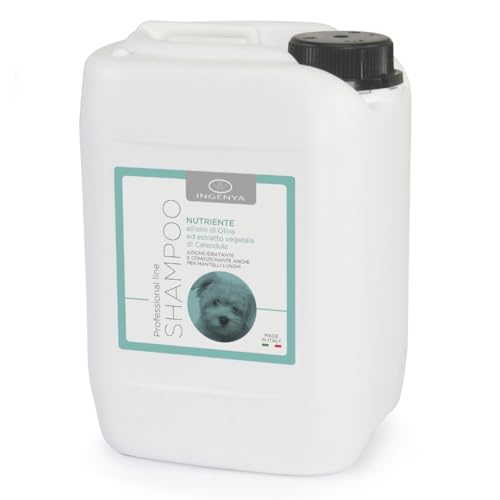 CAMON | Pflegendes Shampoo für Hunde, 5 l mit Olivenöl und Ringelblume, regenerierend und feuchtigkeitsspendend, geeignet für Lange Haare von CAMON