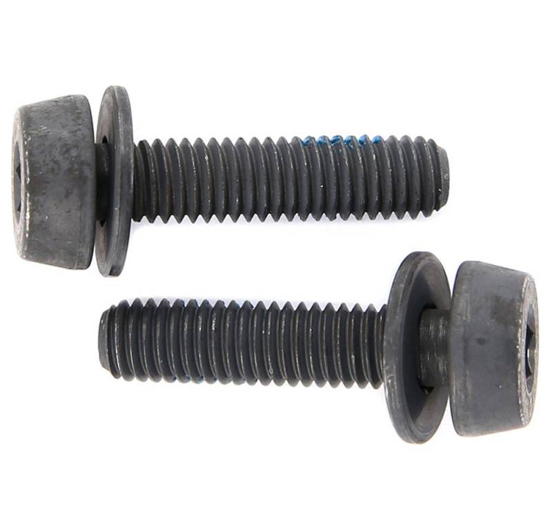 CAMPAGNOLO Schraube Campagnolo Befestigungsschraube für 10-14mm Hinterbauten AC18-DBSC19 8 von CAMPAGNOLO