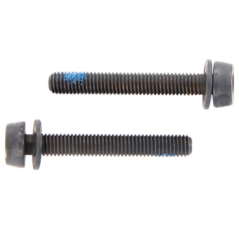 CAMPAGNOLO Schraube Campagnolo Befestigungsschraube für 25-29mm Hinterbauten AC18-DBSC34 8 CAMPAGNOLO Schraube Campagnolo Befestigungsschraube für 25-29mm Hinterbauten AC18-DBSC34 8 von CAMPAGNOLO