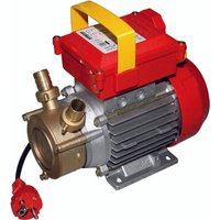 Transferpumpe mit griff 20CE HP.0,5 Transferpumpe mit griff 20CE HP.0,5 von CAMPEON