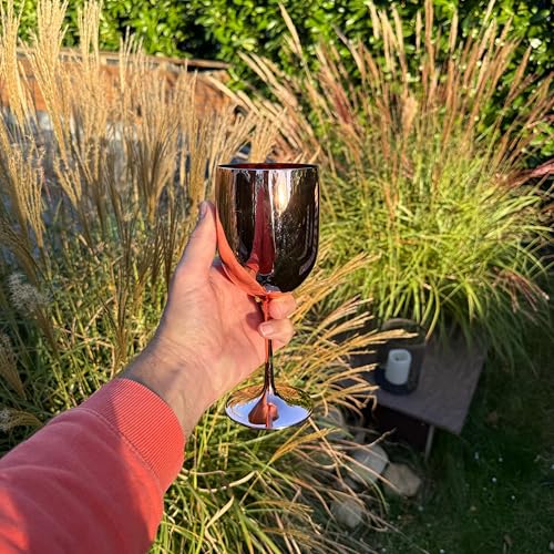 CAMPIDOO Weingläser bruchfest - 4er Set - Elegantes Trinkgeschirr in Schwarz, Weiss, Pink oder Rosegold - für Champagner und Cocktails CAMPIDOO Weingläser bruchfest - 4er Set - Elegantes Trinkgeschirr in Schwarz, Weiss, Pink oder Rosegold - für Champagner und Cocktails von CAMPIDOO