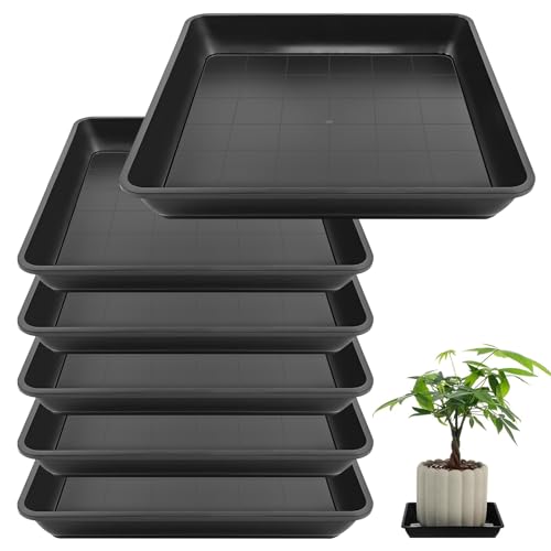6 Stück Blumentopf Untersetzer Eckig Pflanztopf Blumenkübel Schale Kunststoff Pflanzkasten Topfuntersetzer Pflanzen Pflanzschale Blumentopf Tropf Tabletts für Outdoor Indoor Pflanzen (30.5 x 30.5cm) von CANCYCC