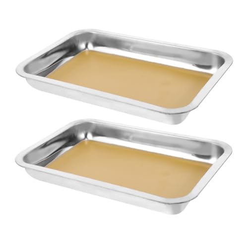 CANIGHT 2 Stück Anatomie-Tablett Präpariertablett aus Metall Labortablett aus Edelstahl Labor-Sezierpfanne Sezierschale aus Edelstahl Präpariertablett aus Wachs Rostfreier Stahl Silber von CANIGHT