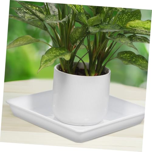 CANIGHT 2 Stück Pflanzuntersetzer Quadratisch Dickem Kunststoff Wetterfeste Pflanzen Abtropfschale für Balkon und Garten Stabiler Wasserauffangbehälter für Blumentöpfe und Sukkulenten Weiß von CANIGHT