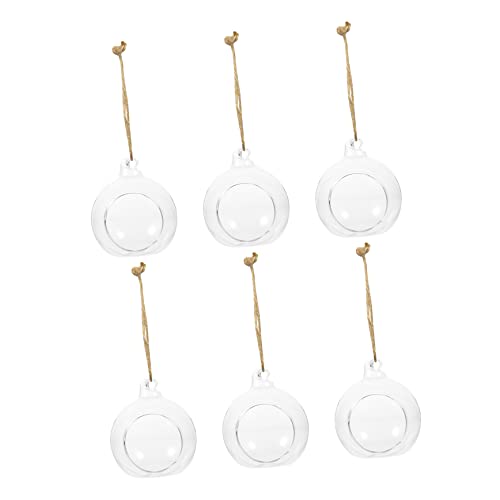 CANIGHT 6 Stück Transparente Hängende Glasvasen Kugelförmige Blumen Und Pflanzenhalter Für Tischdeko Und Außenbereich von CANIGHT