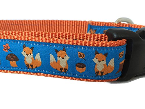 Hundehalsband, Herbst-Design, 2,5 cm breit, verstellbar, Nylon, Größe M und L (Fuchs, Größe M 33–48,3 cm) von CANINEDESIGN QUALITY DOG COLLARS