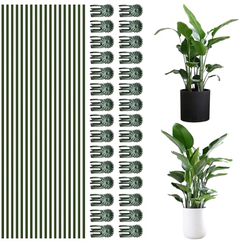 50-teiliges Pflanzenstab-Clip-Set, grün, Pflanzenstäbe unterstützen hohe, nützliche Stützclips, feine Verarbeitung ermöglicht Biegen, für Verschiedene Blumentöpfe Green Plant Support 50-teiliges Pflanzenstab-Clip-Set, grün, Pflanzenstäbe unterstützen hohe, nützliche Stützclips, feine Verarbeitung ermöglicht Biegen, für Verschiedene Blumentöpfe Green Plant Support von CANIPHA