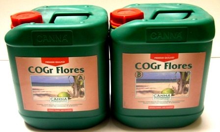 Canna Dünger COGr Flores 2 x 10 Liter Blüte Canna Dünger COGr Flores 2 x 10 Liter Blüte von CANNA