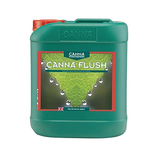 CANNA Flush 5 Liter, grün CANNA Flush 5 Liter, grün von CANNA