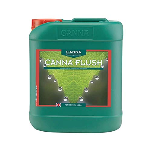 CANNA Flush 5 Liter, grün von CANNA