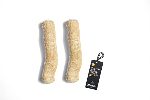 Canophera Hundekaustab aus Kaffeebaumholz, klein, 2 Stück (L (26cm)) von Canophera